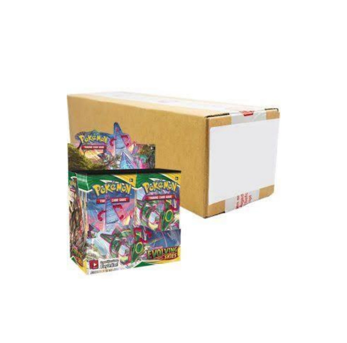 SWSH EVOLVING SKIES Sealed Booster Case (216 PACKS)